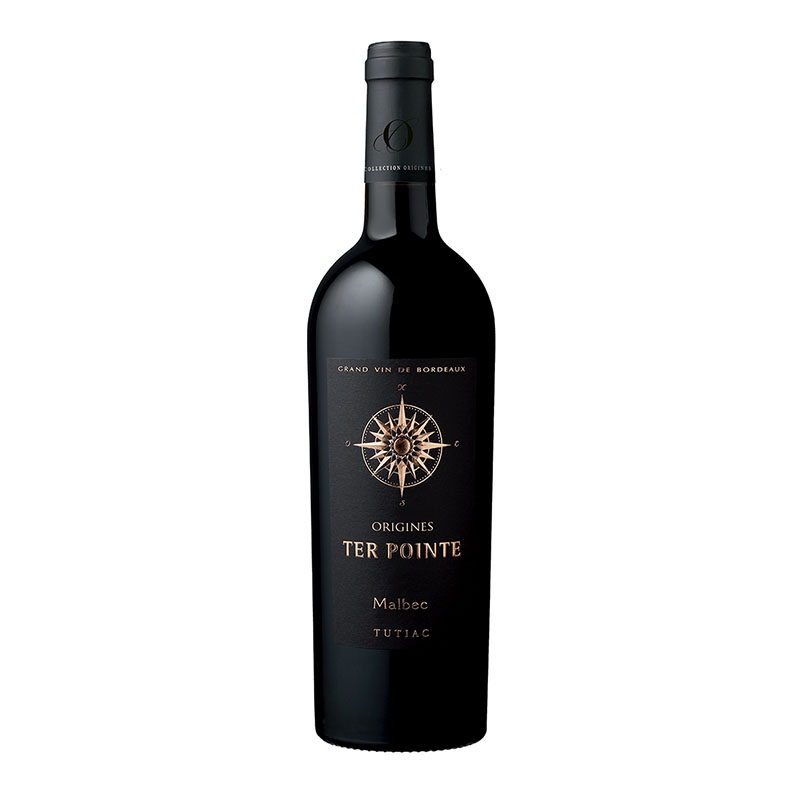 AOP Cotes de Bourg - Gamme Origine Ter Pointe - Rouge - 75CL